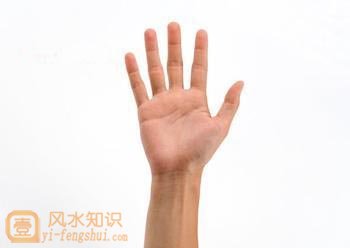 中指长短代表着什么