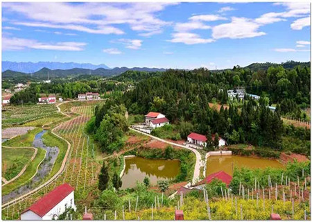 住宅选址周边风水禁忌